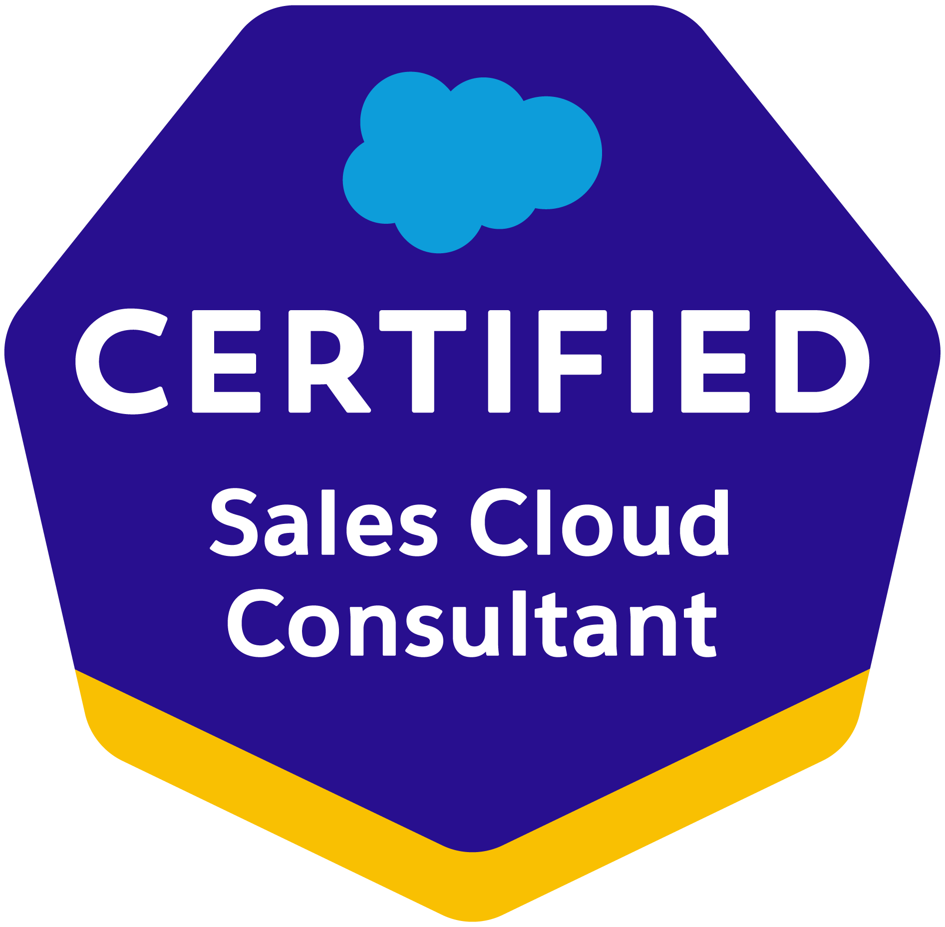 cert-sales-cloud-consultant-1
