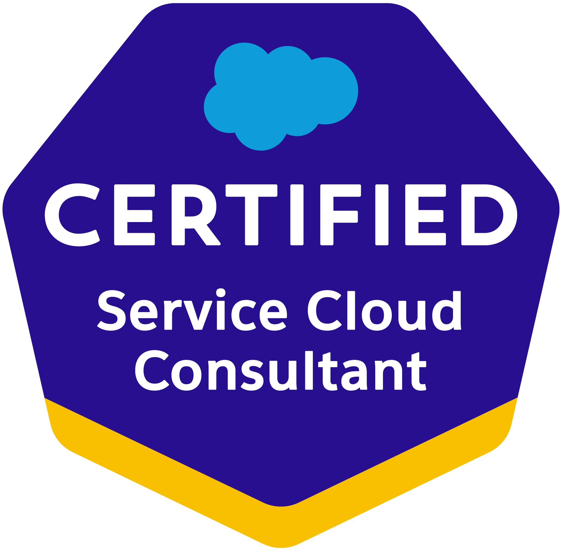 cert-service-cloud-consultant-1